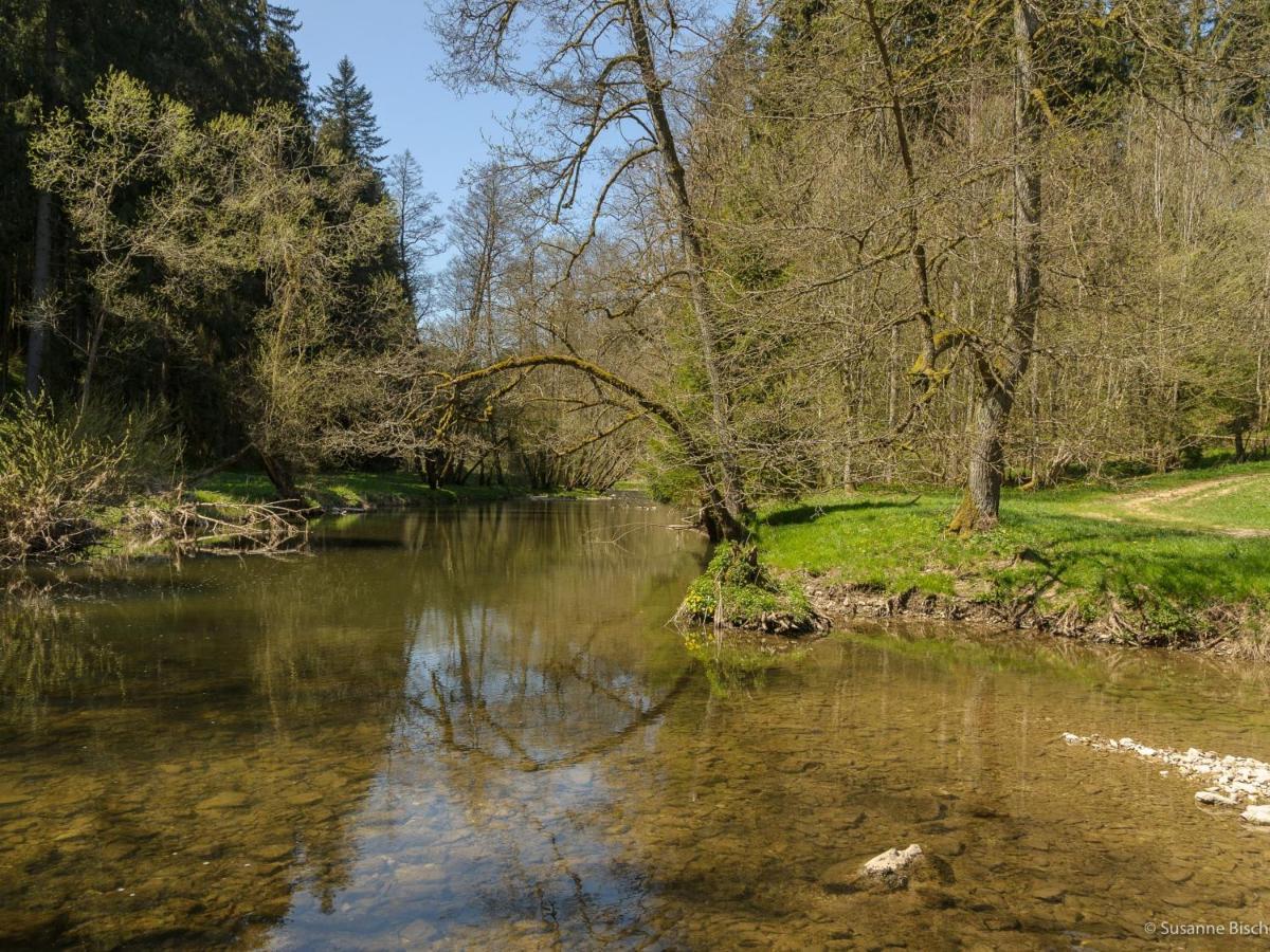 63qm Im Eschachtal Niedereschach